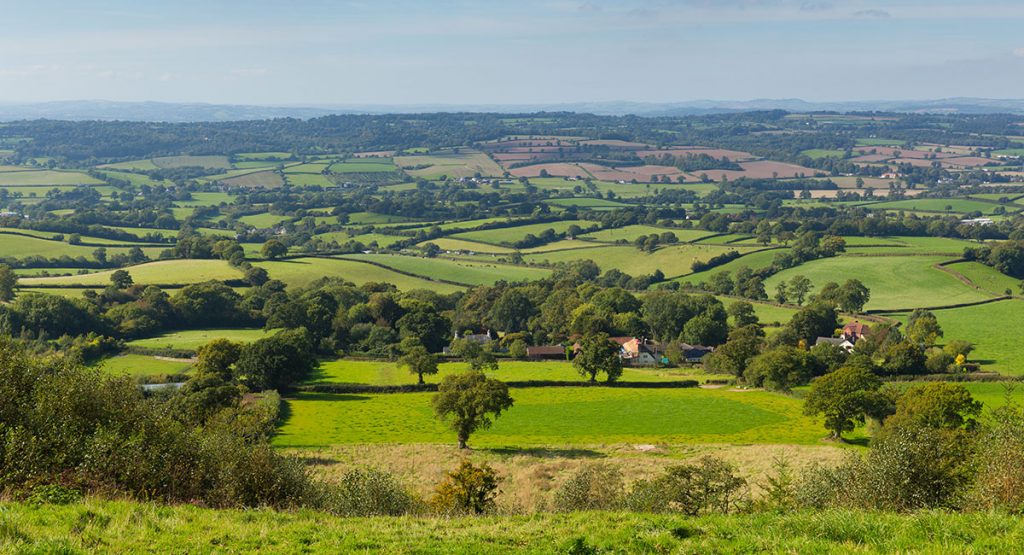 places to visit honiton devon